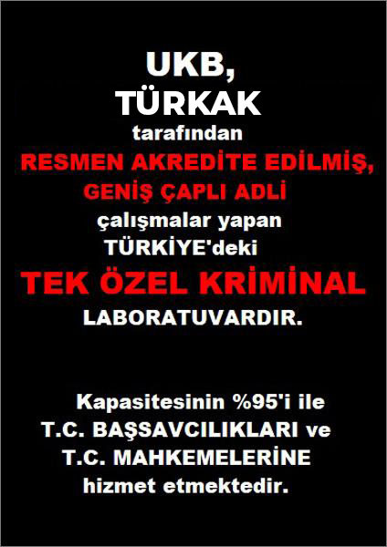 sertifika